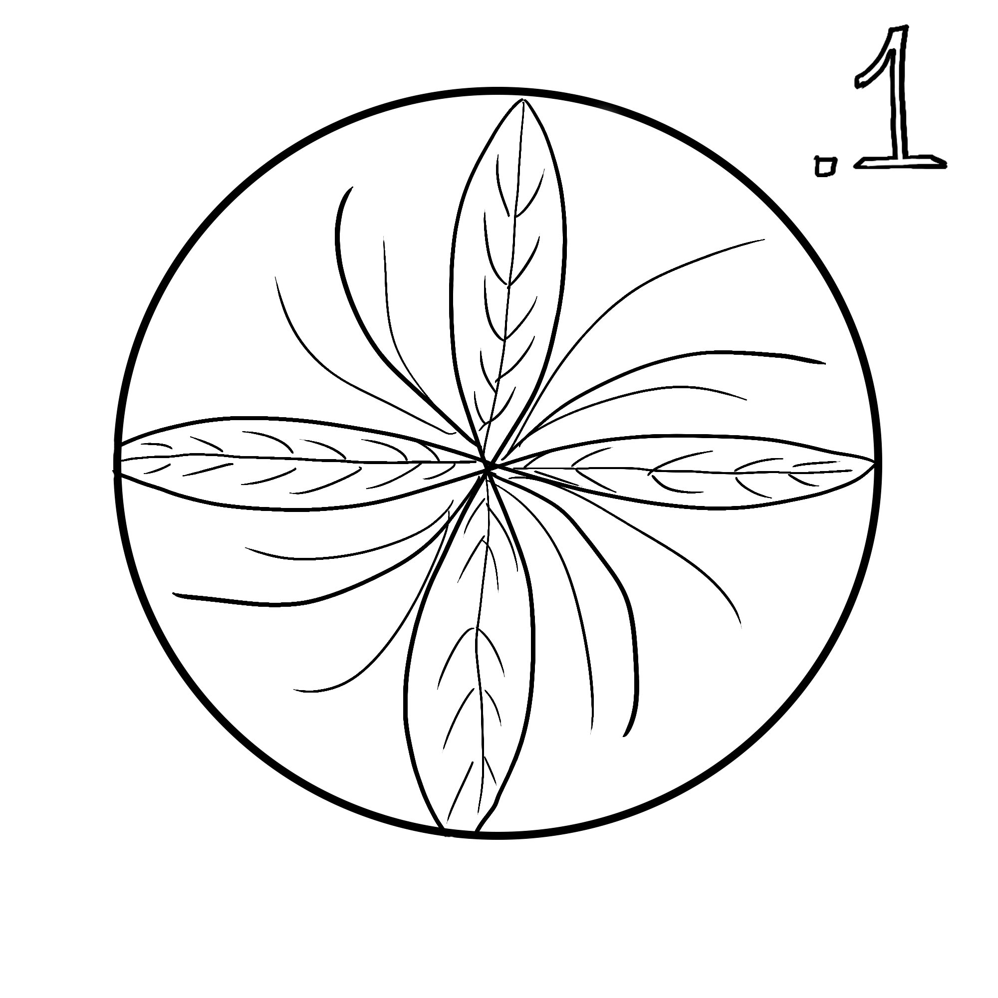 exemple 1